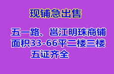 江南五一路邕江明珠临街33-66平商铺出售